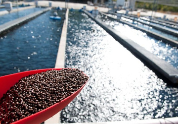 fish feed management